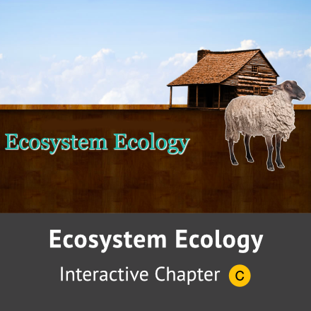 Ecosystem Ecology module